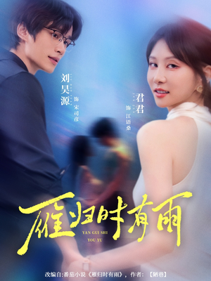 雁归时有雨（84集）热门短剧推荐