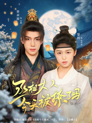 丞相大人今天被撩了吗（80集）观看软件