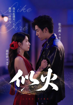 似火（80集）短剧太好看