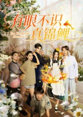 有眼不识真锦鲤（35集）高分佳作免费看