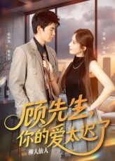 顾先生你的爱太迟了（60集）百亿短剧抢先看