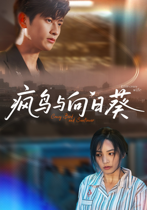 疯鸟与向日葵（40集）抢先看热门短剧