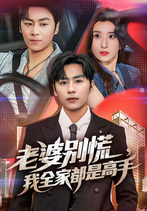 婆别慌我全家都是高手(58集) 婆别慌我全家都是高手(58集)上热门短剧