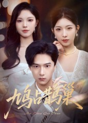 鸠占鹊巢&顶流夫人的致命陷阱（70集）热播短剧抢先看