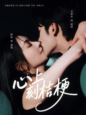 心上刻桔梗(90集) 心上刻桔梗(90集)好看短剧追不停