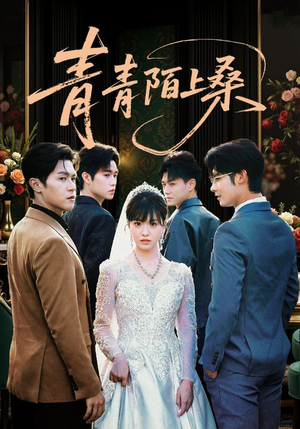 青青陌上桑（70集）精彩短剧推荐