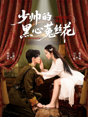 少帅的黑心菟丝花（60集）古装短剧热播