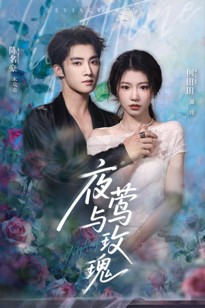 夜莺与玫瑰(66集) 夜莺与玫瑰(66集)短剧爆款推荐