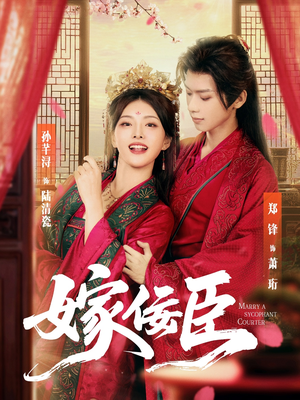 嫁佞臣(80集) 嫁佞臣(80集)全集一次看完