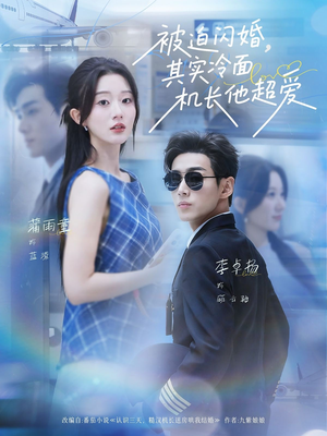 被迫闪婚其实冷面机长他超爱（77集）好看上头短剧
