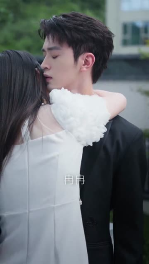 南风过境时爱意尽失（60集）免费观看