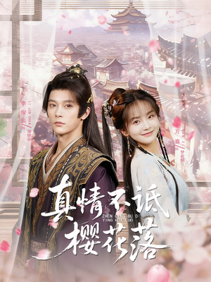 真情不诋樱花落（58集）短剧前十排行榜