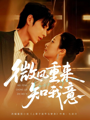 微风重来知我意（62集）最热门短剧来了