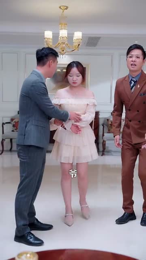 都市一品傻婿 (96集) 都市一品傻婿 (96集)演的怎么样