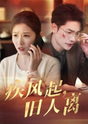 疾风起旧人离（32集）短剧后续更精彩