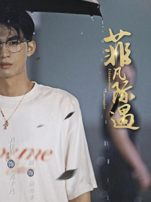 菲凡际遇(100集) 菲凡际遇(100集)全剧免费观看