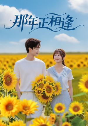 那年正相逢(60集) 那年正相逢(60集)看精彩短剧