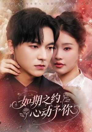 如期之约心动予你（82集）免费热门短剧