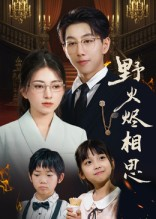 野火烬相思（61集）短剧全集完整