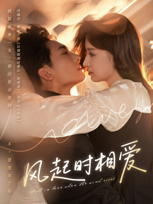风起时相爱（80集）短剧中追到爽