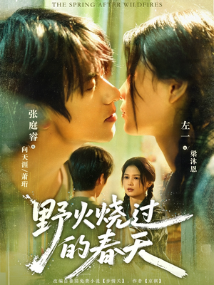 野火烧过的春天(85集) 野火烧过的春天(85集)爆款短剧追不停