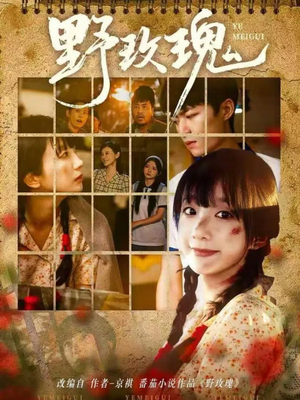 野玫瑰(82集) 野玫瑰(82集)精彩短剧追不停