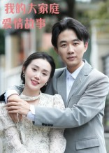 我的大家庭爱情故事（15集）视频在线看
