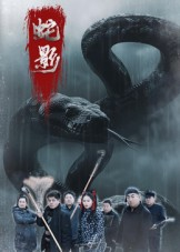 蛇影(25集) 蛇影(25集)短剧完整版免费