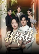 许我折桂（70集）最新热播短剧