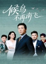 候鸟不再南飞(80集) 候鸟不再南飞(80集)更新时间