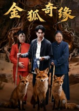 金狐奇缘(42集) 金狐奇缘(42集)追短剧看全集