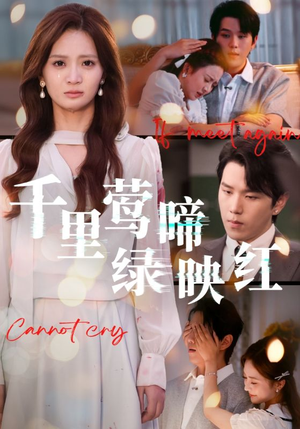 千里莺啼绿映红（63集）简直不要太好看