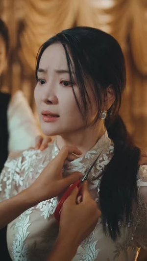 金屋藏凤(30集) 金屋藏凤(30集)短剧全集免费看