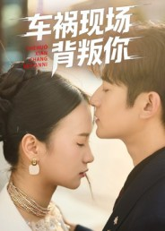 车祸现场背叛你(37集) 车祸现场背叛你(37集)免费观看全集