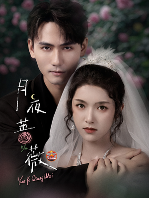 月夜蔷薇（72集）百度网盘资源