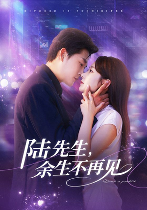 陆先生，余生不再见（88集）女主角是谁