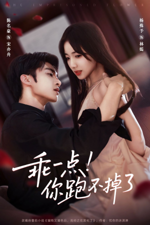 乖一点!你跑不掉了(80集) 乖一点!你跑不掉了(80集)夸克网盘观看