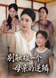 别触碰一个母亲的逆鳞（33集）古装热门短剧