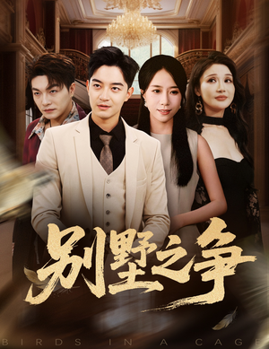 别墅之争（59集）短剧排行榜