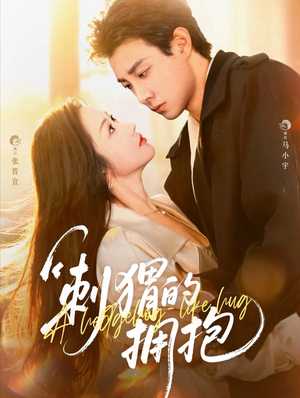 刺猬的拥抱（71集）短剧在线看