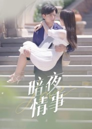 暗夜情事（100集）越看越好看短剧