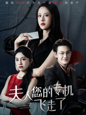 夫人您的专机飞走了（62集）推荐你们也去看