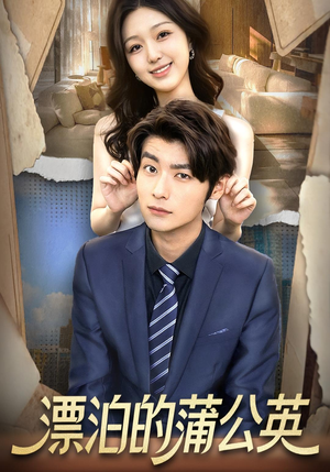 漂泊的蒲公英（60集）热门短剧追不停