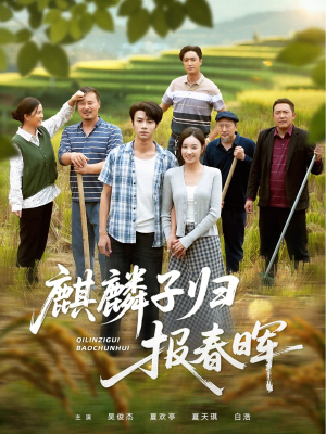 麒麟子归报春晖（36集）免费版
