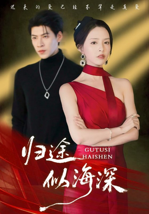 归途似海深（61集）精彩短剧合集