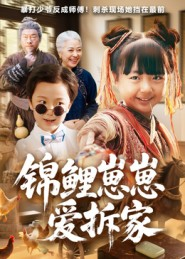 锦鲤崽崽爱拆家（80集）超级好看的短剧