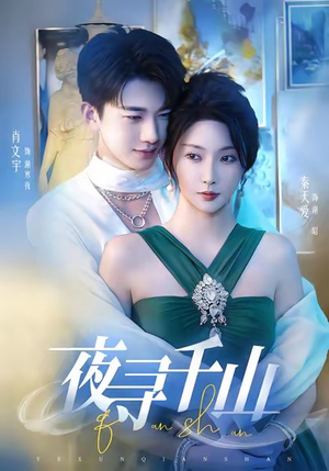 夜寻千山（60集）高分佳作免费看