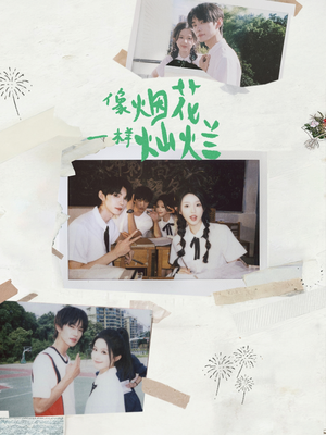 像烟花一样灿烂(60集) 像烟花一样灿烂(60集)越看越好看短剧