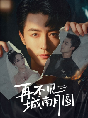 再不见城南月圆(60集) 再不见城南月圆(60集)热门短剧推广