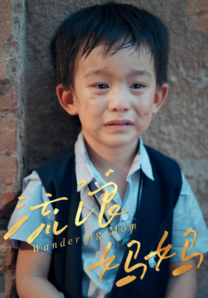 流浪妈妈(30集) 流浪妈妈(30集)火爆短剧热播中